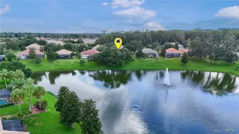 View/Area - 1041 W Beagle Run Loop, Hernando, FL 34442 photo 9 of 21