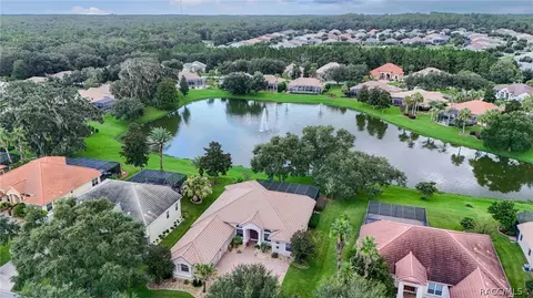 View/Area - 1041 W Beagle Run Loop, Hernando, FL 34442 photo 4 of 21