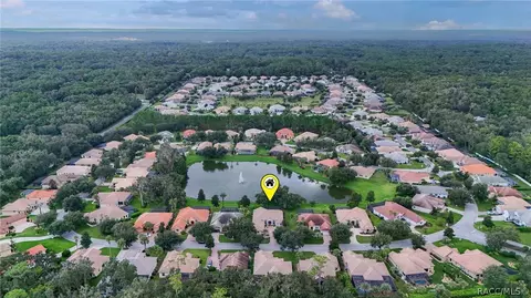 View/Area - 1041 W Beagle Run Loop, Hernando, FL 34442 photo 5 of 21