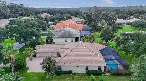 View/Area - 1041 W Beagle Run Loop, Hernando, FL 34442 photo 7 of 21