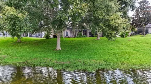 View/Area - 1041 W Beagle Run Loop, Hernando, FL 34442 photo 14 of 21