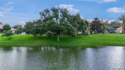View/Area - 1041 W Beagle Run Loop, Hernando, FL 34442 photo 13 of 21