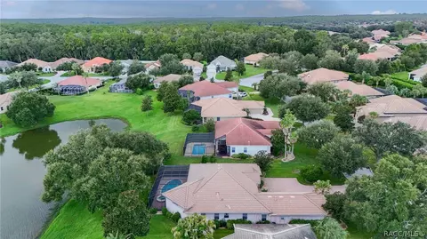 View/Area - 1041 W Beagle Run Loop, Hernando, FL 34442 photo 15 of 21
