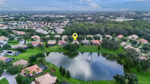 View/Area - 1041 W Beagle Run Loop, Hernando, FL 34442 photo 10 of 21