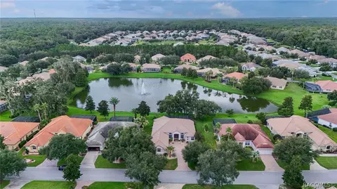 View/Area - 1041 W Beagle Run Loop, Hernando, FL 34442 photo 3 of 21