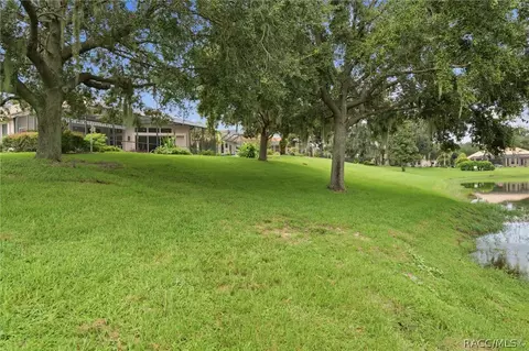 Exterior - 1041 W Beagle Run Loop, Hernando, FL 34442 photo 9 of 15