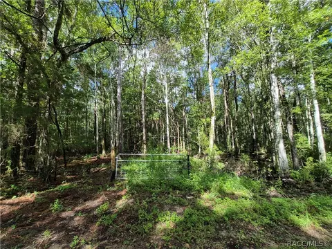 10622 S Le Baron Dr, Homosassa, FL 34448