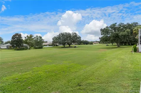 254 W Doerr Path, Hernando, FL 34442 photo 5