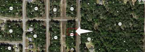 10732 N Academy Dr, Dunnellon, FL 34434