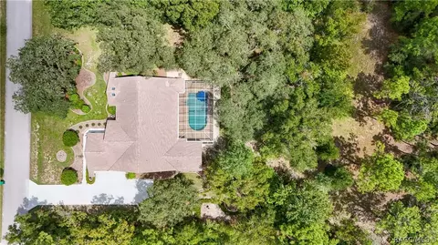 View/Area - 1610 E Westgate Ln, Hernando, FL 34442 photo 4 of 10