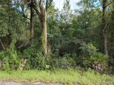 6869 W Van Buren Dr, Homosassa, FL 34448