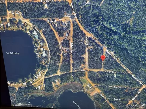 107 Pat Ave, Interlachen, FL 32148 photo 3