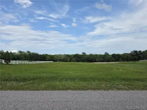 1359 N Spend A Buck Dr, Hernando, FL 34442 photo 3