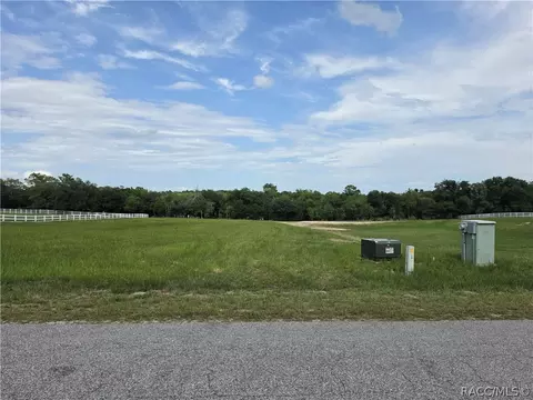 1359 N Spend A Buck Dr, Hernando, FL 34442 photo 4