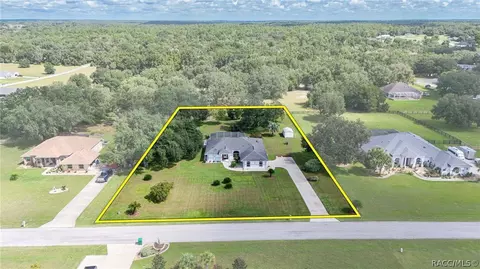 View/Area - 345 E Samuel Ct, Hernando, FL 34442 photo 1 of 11