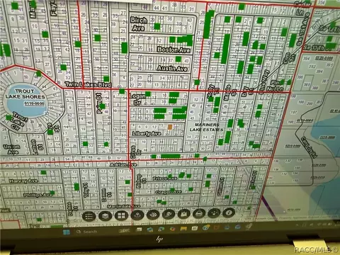 00 Unassigned Ests, Interlachen, FL 32148 photo 4