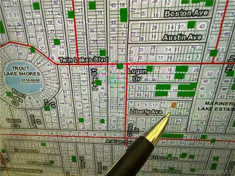 00 Unassigned Ests, Interlachen, FL 32148 photo 2
