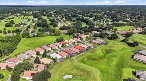 View/Area - 51 W Doerr Path, Hernando, FL 34442 photo 4 of 5