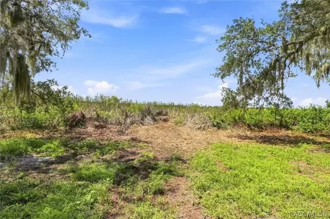 Other - 3691 N Webb Pt, Hernando, FL 34442 photo 21 of 25