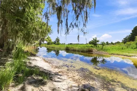 View/Area - 3691 N Webb Pt, Hernando, FL 34442 photo 14 of 14