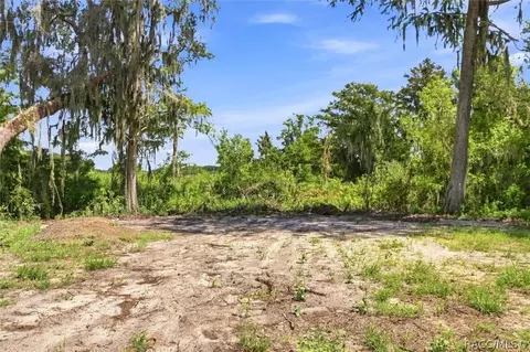 Other - 3691 N Webb Pt, Hernando, FL 34442 photo 24 of 25