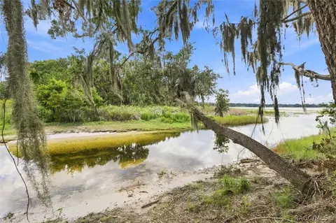 View/Area - 3691 N Webb Pt, Hernando, FL 34442 photo 13 of 14