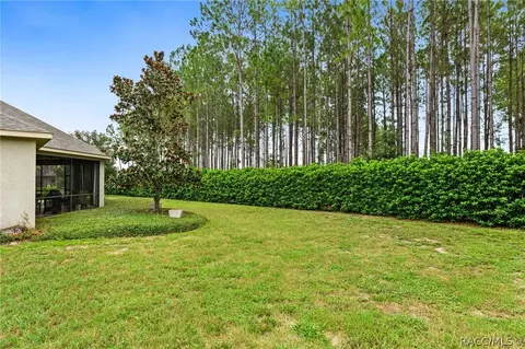 Exterior - 104 E Atlantic St, Hernando, FL 34442 photo 10 of 17