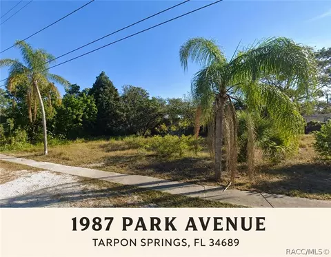 1987 Park Ave, Tarpon Springs, FL 34689
