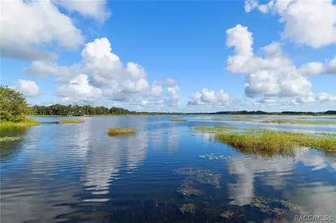 View/Area - 4038 Eagle Trl, Hernando, FL 34442 photo 1 of 10