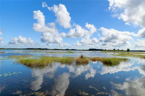 View/Area - 4038 Eagle Trl, Hernando, FL 34442 photo 2 of 10