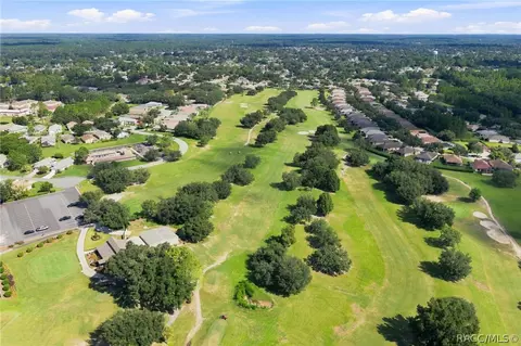 View/Area - 1660 W Spring Meadow Loop, Lecanto, FL 34461 photo 9 of 10
