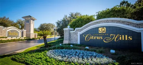 Other - 1165 W Pointer Loop, Hernando, FL 34442 photo 1 of 33