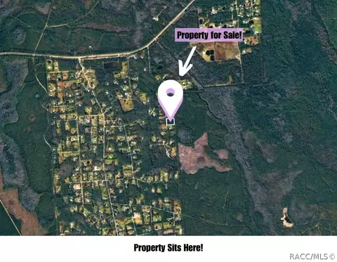 220 Conifer Ln, Ormond Beach, FL 32174 photo 2