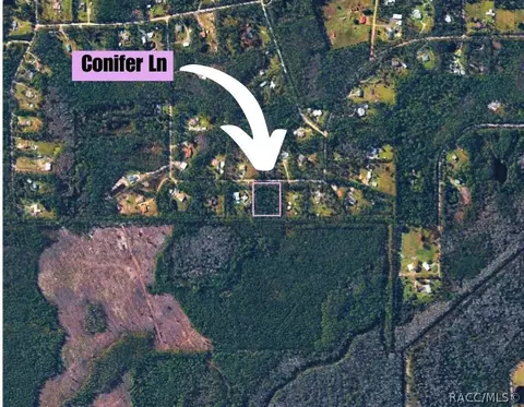 220 Conifer Ln, Ormond Beach, FL 32174 photo 9