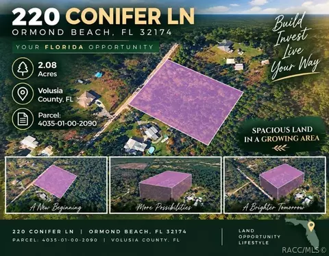 220 Conifer Ln, Ormond Beach, FL 32174 photo 12