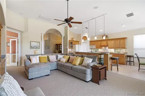 Living - 1901 N Gibson Pt, Hernando, FL 34442 photo 3 of 4