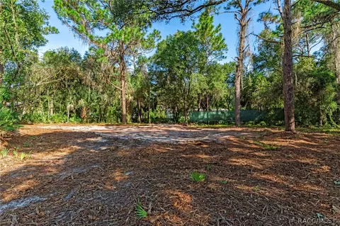 8181 W Tracy Ct, Homosassa, FL 34448