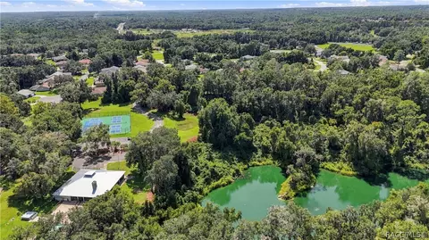 View/Area - 2651 E Maidstone Ct, Hernando, FL 34442 photo 8 of 10