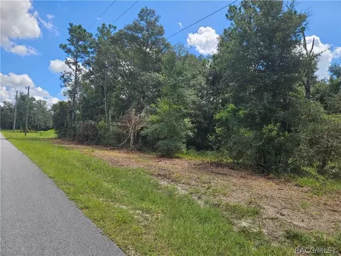 34030 Long Cir, Webster, FL 33597 photo 2