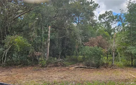 34030 Long Cir, Webster, FL 33597 photo 4