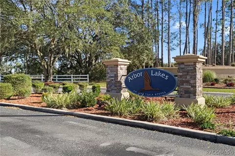 Other - 3671 E Arbor Lakes Dr, Hernando, FL 34442 photo 21 of 22