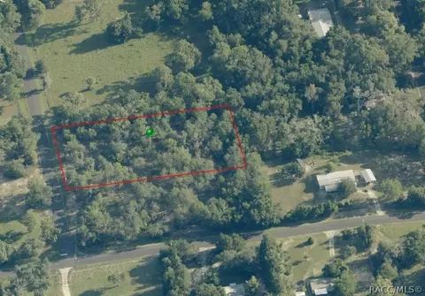 4811 N Redwood Ave, Hernando, FL 34442 photo 4