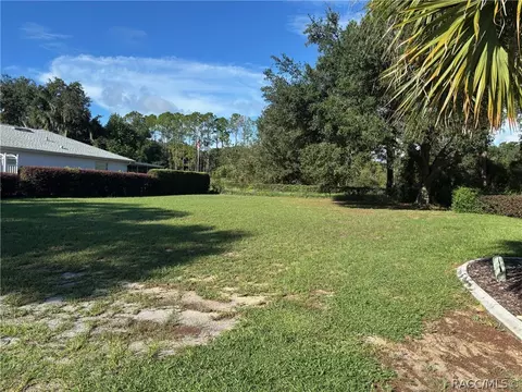 3516 E Cove Park Trl, Hernando, FL 34442 photo 3