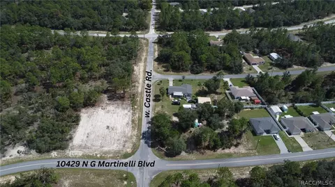10429 N G Martinelli Blvd, Citrus Springs, FL 34433