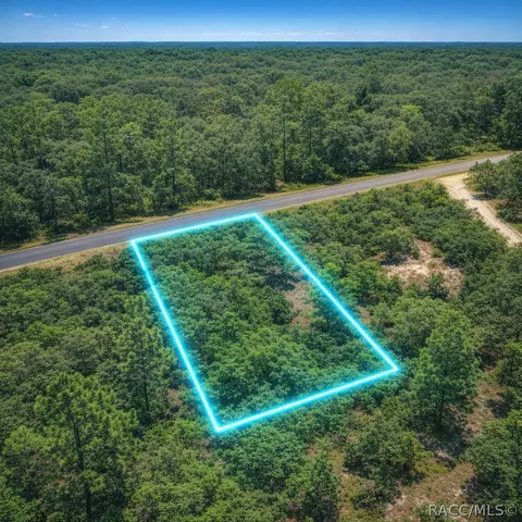 0 SE 133rd Ave Rainbow Lakes Est Ave, Dunnellon, FL 34431