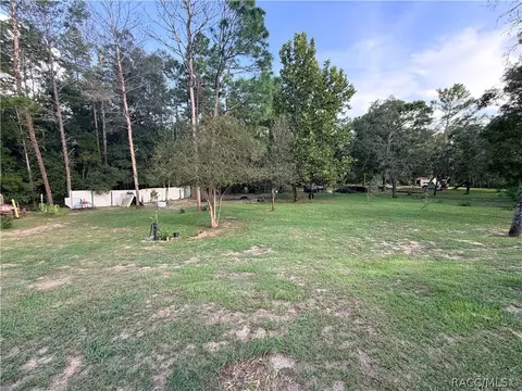 Exterior - 1671 E Amberjack Dr, Hernando, FL 34442 photo 12 of 36