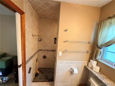 Bath - 1671 E Amberjack Dr, Hernando, FL 34442 photo 4 of 5
