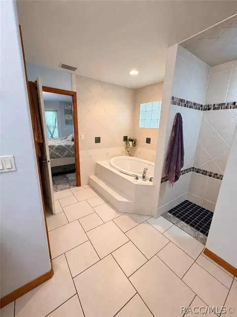 Bath - 1671 E Amberjack Dr, Hernando, FL 34442 photo 1 of 5