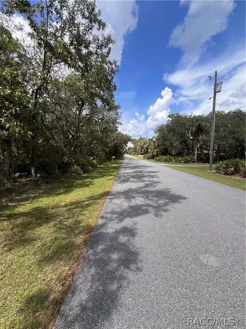 1318 S Palm Ave, Homosassa, FL 34448