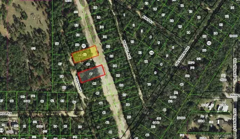106 N Cristy Ave, Inverness, FL 34452